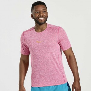 Saucony Stopwatch Short Sleeve Muške Majica Roze | HRVATSKA WYERAU