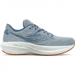 Saucony Triumph RFG Muške Tenisice Plave | HRVATSKA RTVCJX