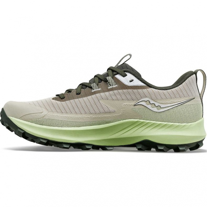 Saucony Peregrine 13 GTX Muške Tenisice Sive Menta | HRVATSKA MZBRGF