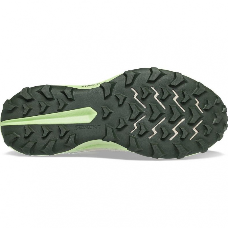 Saucony Peregrine 13 GTX Muške Tenisice Sive Menta | HRVATSKA MZBRGF