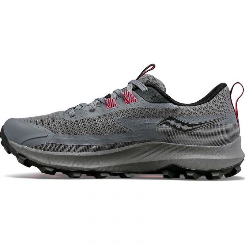 Saucony Peregrine 13 GTX Ženske Trail Tenisice Sive | HRVATSKA TAGVXW