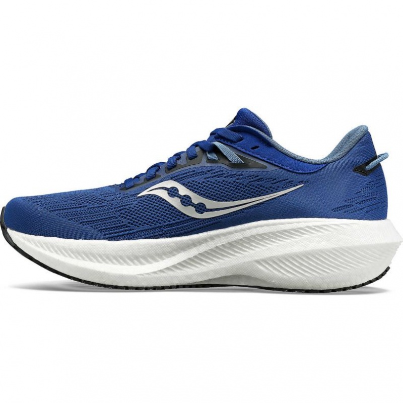 Saucony Triumph 21 Muške Tenisice Indigo | HRVATSKA RYKFPJ