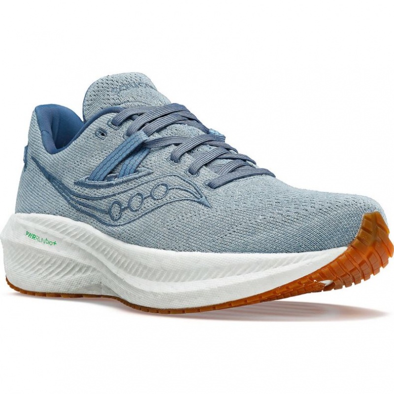 Saucony Triumph RFG Muške Tenisice Plave | HRVATSKA RTVCJX